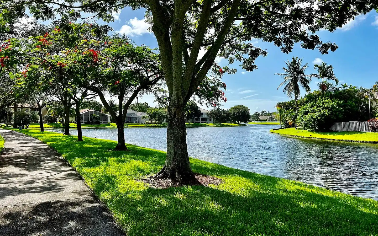 A sunny Florida residential community beside a lake and palm trees