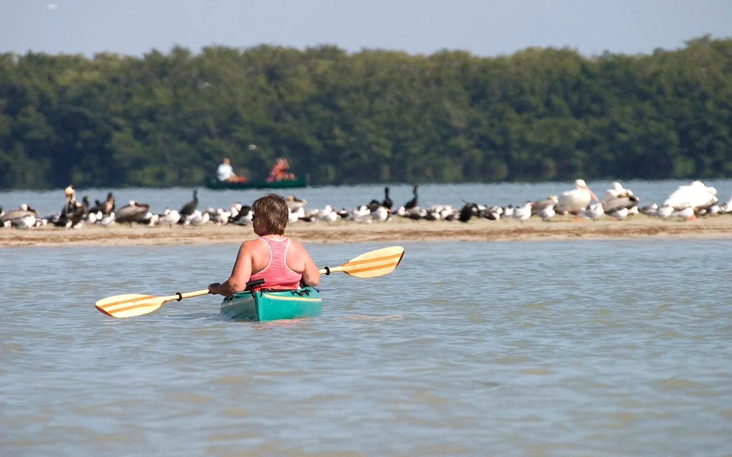 A kayaker enjoying outdoor recreation on Florida Bay